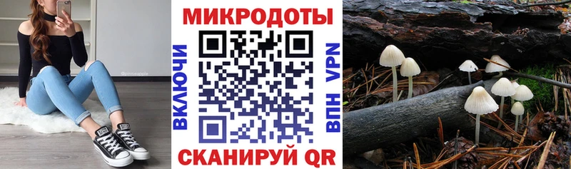 Галлюциногенные грибы Magic Shrooms закладка Ряжск